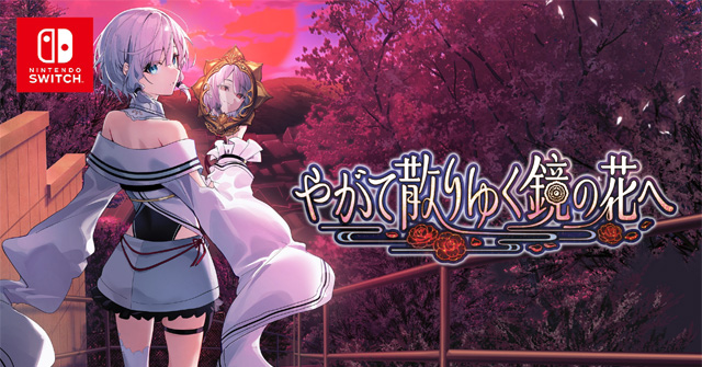 僕が昔遊んでいました。今はSwitchをしません、品質確認等は済んでいます！ 僕が昔遊んでいました。今はSwitchをしません、品質確認等